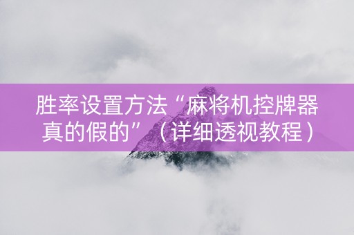 胜率设置方法“麻将机控牌器真的假的”（详细透视教程）-哔哩哔哩