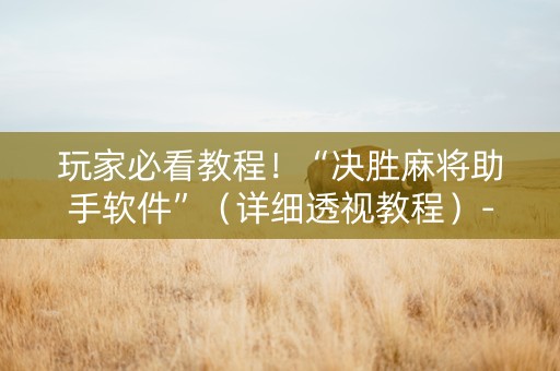 玩家必看教程！“决胜麻将助手软件”（详细透视教程）-哔哩哔哩