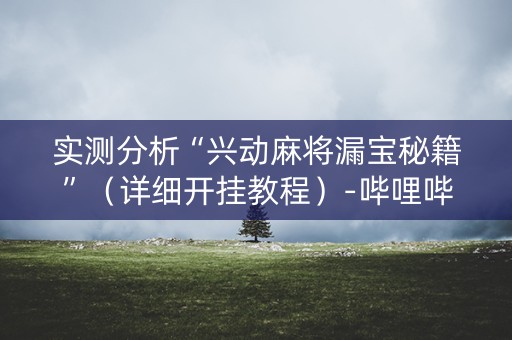 实测分析“兴动麻将漏宝秘籍”（详细开挂教程）-哔哩哔哩