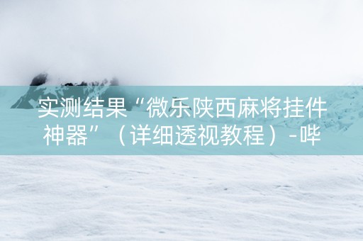 实测结果“微乐陕西麻将挂件神器”（详细透视教程）-哔哩哔哩