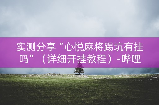 实测分享“心悦麻将踢坑有挂吗”（详细开挂教程）-哔哩哔哩