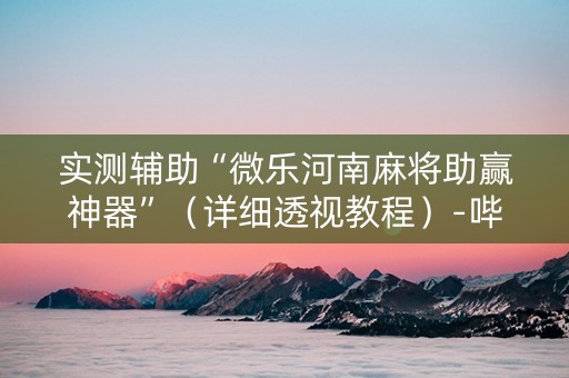 实测辅助“微乐河南麻将助赢神器”（详细透视教程）-哔哩哔哩