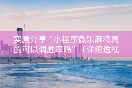 实测分享“小程序微乐麻将真的可以调胜率吗”（详细透视教程）-哔哩哔哩