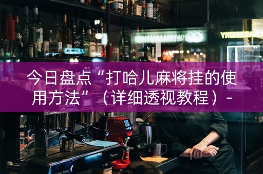 今日盘点“打哈儿麻将挂的使用方法”（详细透视教程）-哔哩哔哩