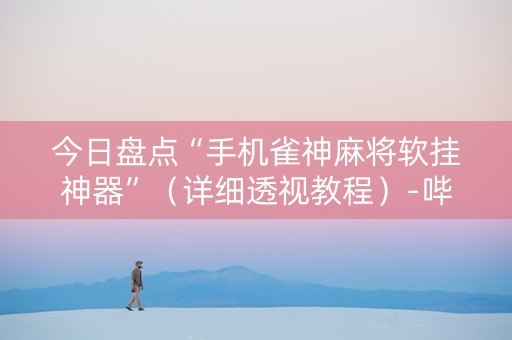 今日盘点“手机雀神麻将软挂神器”（详细透视教程）-哔哩哔哩