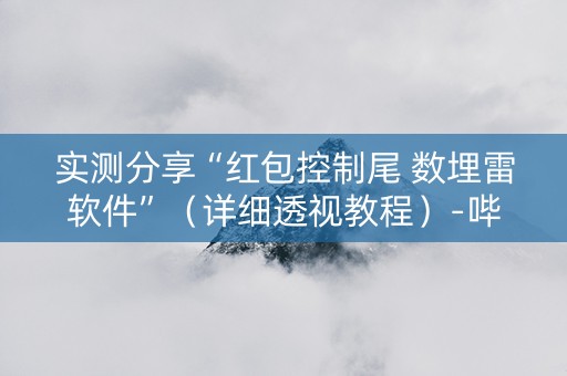 实测分享“红包控制尾 数埋雷软件”（详细透视教程）-哔哩哔哩