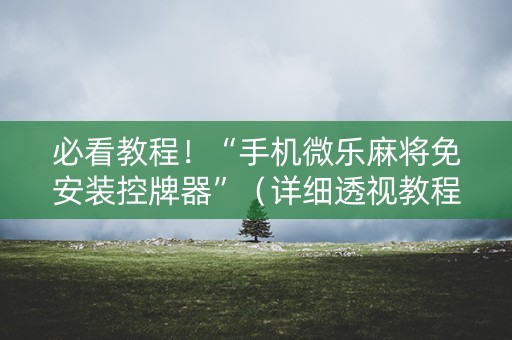 必看教程！“手机微乐麻将免安装控牌器”（详细透视教程）-哔哩哔哩