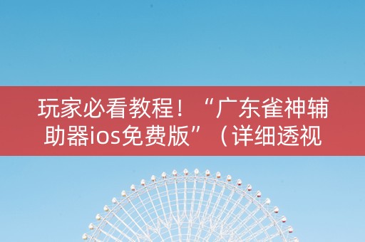 玩家必看教程！“广东雀神辅助器ios免费版”（详细透视教程）-哔哩哔哩
