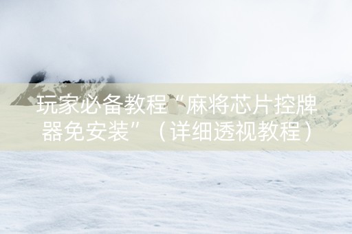 玩家必备教程“麻将芯片控牌器免安装”（详细透视教程）-哔哩哔哩