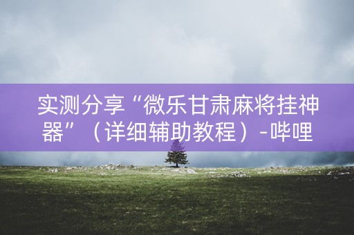 实测分享“微乐甘肃麻将挂神器”（详细辅助教程）-哔哩哔哩