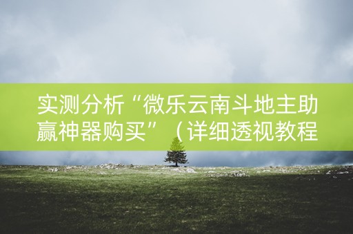 实测分析“微乐云南斗地主助赢神器购买”（详细透视教程）-哔哩哔哩