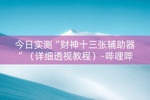 今日实测“财神十三张辅助器”（详细透视教程）-哔哩哔哩