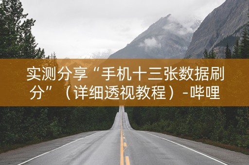 实测分享“手机十三张数据刷分”（详细透视教程）-哔哩哔哩