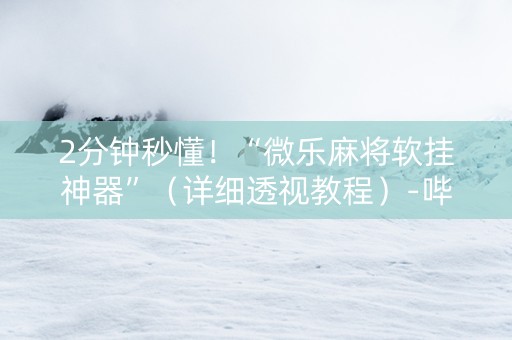 2分钟秒懂！“微乐麻将软挂神器”（详细透视教程）-哔哩哔哩