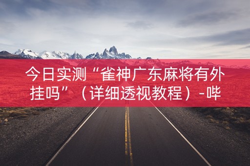 今日实测“雀神广东麻将有外挂吗”（详细透视教程）-哔哩哔哩