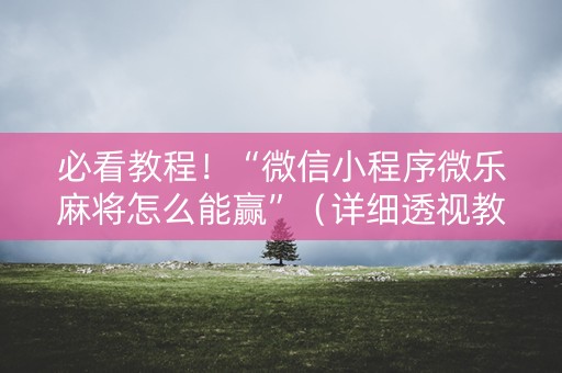 必看教程！“微信小程序微乐麻将怎么能赢”（详细透视教程）-哔哩哔哩