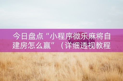 今日盘点“小程序微乐麻将自建房怎么赢”（详细透视教程）-哔哩哔哩