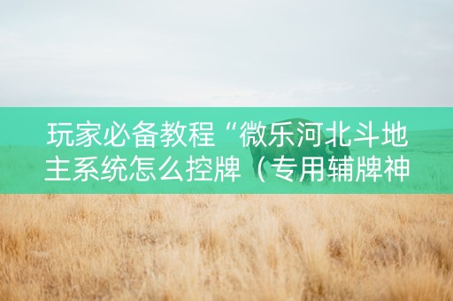 玩家必备教程“微乐河北斗地主系统怎么控牌（专用辅牌神器免安装）