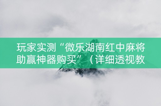 玩家实测“微乐湖南红中麻将助赢神器购买”（详细透视教程）-哔哩哔哩