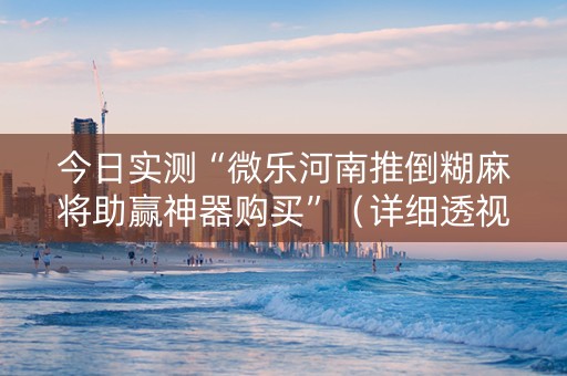 今日实测“微乐河南推倒糊麻将助赢神器购买”（详细透视教程）-哔哩哔哩