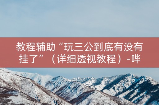 教程辅助“玩三公到底有没有挂了”（详细透视教程）-哔哩哔哩