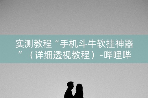 实测教程“手机斗牛软挂神器”（详细透视教程）-哔哩哔哩