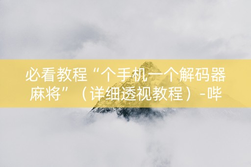 必看教程“个手机一个解码器麻将”（详细透视教程）-哔哩哔哩