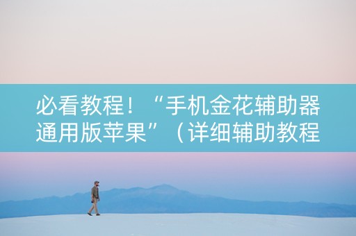 必看教程！“手机金花辅助器通用版苹果”（详细辅助教程）-哔哩哔哩