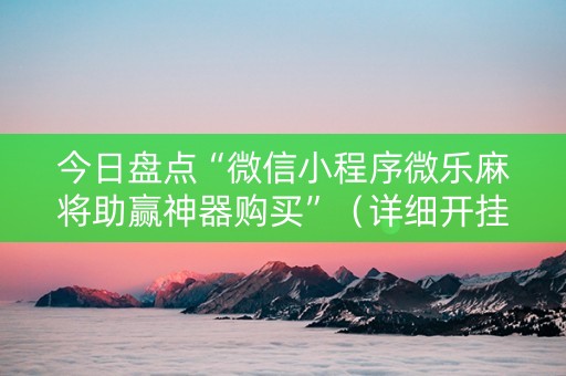 今日盘点“微信小程序微乐麻将助赢神器购买”（详细开挂教程）-哔哩哔哩
