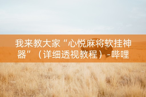 我来教大家“心悦麻将软挂神器”（详细透视教程）-哔哩哔哩