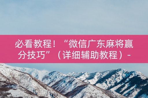 必看教程！“微信广东麻将赢分技巧”（详细辅助教程）-哔哩哔哩