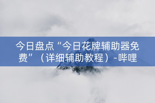 今日盘点“今日花牌辅助器免费”（详细辅助教程）-哔哩哔哩