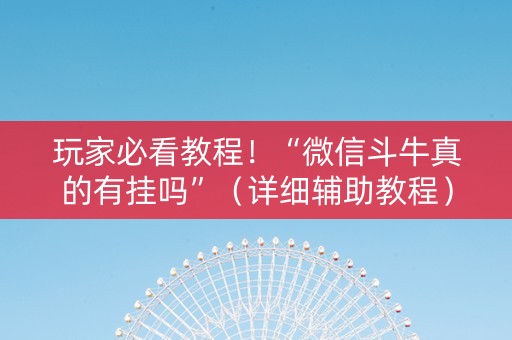 玩家必看教程！“微信斗牛真的有挂吗”（详细辅助教程）-哔哩哔哩