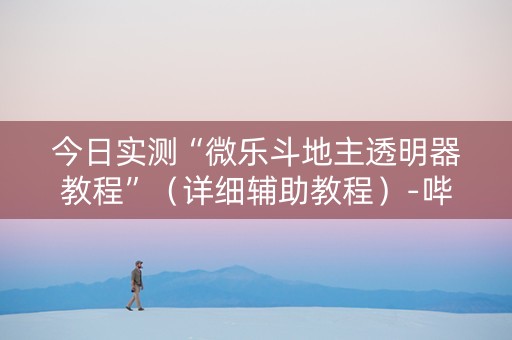今日实测“微乐斗地主透明器教程”（详细辅助教程）-哔哩哔哩