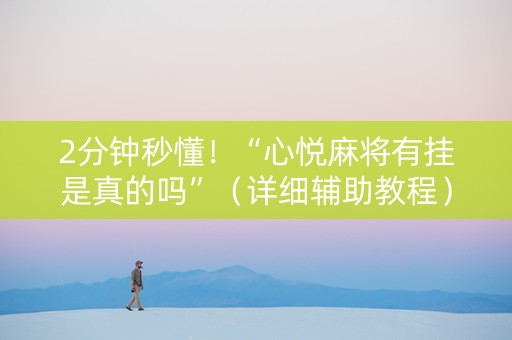 2分钟秒懂！“心悦麻将有挂是真的吗”（详细辅助教程）-哔哩哔哩