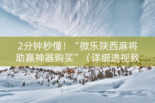 2分钟秒懂！“微乐陕西麻将助赢神器购买”（详细透视教程）-哔哩哔哩