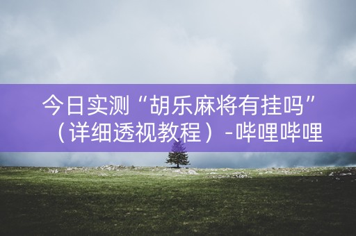 今日实测“胡乐麻将有挂吗”（详细透视教程）-哔哩哔哩