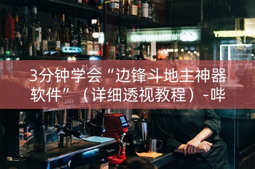 3分钟学会“边锋斗地主神器软件”（详细透视教程）-哔哩哔哩