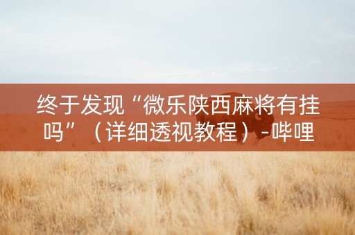 终于发现“微乐陕西麻将有挂吗”（详细透视教程）-哔哩哔哩