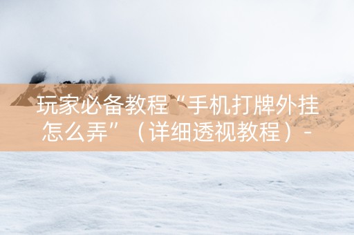 玩家必备教程“手机打牌外挂怎么弄”（详细透视教程）-哔哩哔哩
