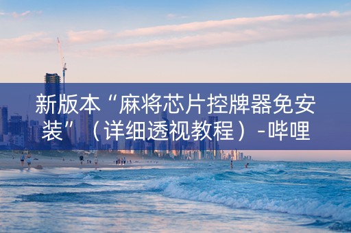 新版本“麻将芯片控牌器免安装”（详细透视教程）-哔哩哔哩