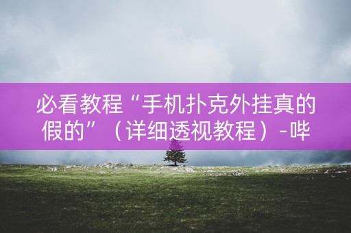 必看教程“手机扑克外挂真的假的”（详细透视教程）-哔哩哔哩