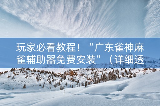 玩家必看教程！“广东雀神麻雀辅助器免费安装”（详细透视教程）-哔哩哔哩
