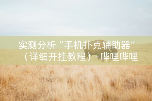实测分析“手机扑克辅助器”（详细开挂教程）-哔哩哔哩