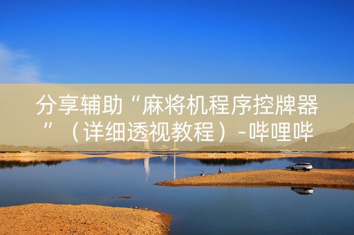 分享辅助“麻将机程序控牌器”（详细透视教程）-哔哩哔哩