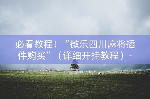 必看教程！“微乐四川麻将插件购买”（详细开挂教程）-哔哩哔哩