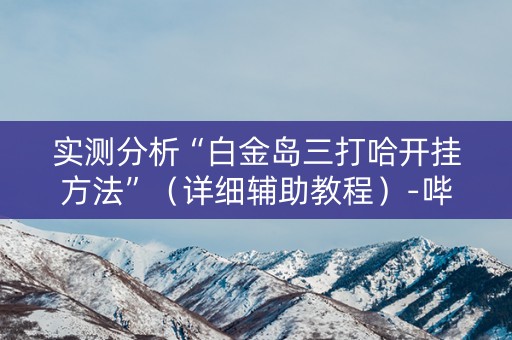 实测分析“白金岛三打哈开挂方法”（详细辅助教程）-哔哩哔哩