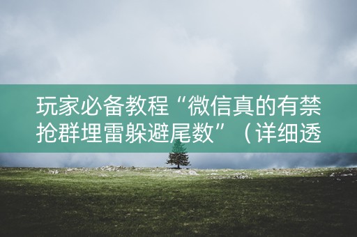 玩家必备教程“微信真的有禁抢群埋雷躲避尾数”（详细透视教程）-哔哩哔哩