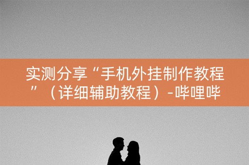 实测分享“手机外挂制作教程”（详细辅助教程）-哔哩哔哩