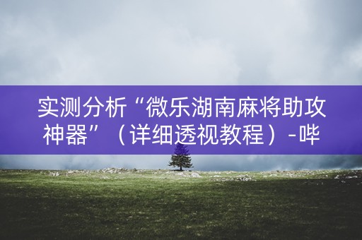 实测分析“微乐湖南麻将助攻神器”（详细透视教程）-哔哩哔哩